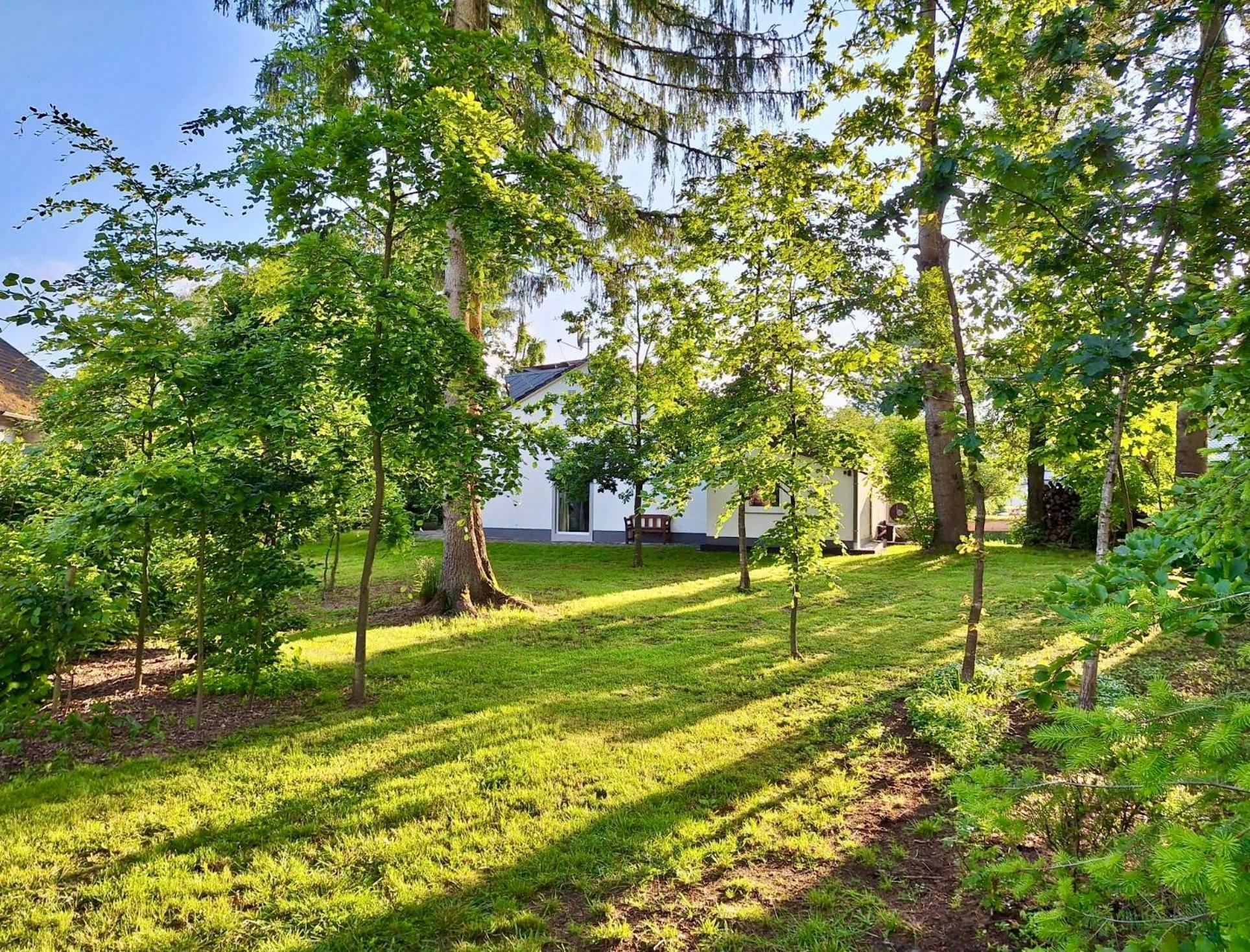 Freiraum Ferienhaus Hellenthal Dış mekan fotoğraf